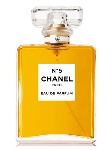 Chanel no 5 macy's